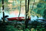 Rowboat, Lake, Woodlands, water, NCOV01P01_19