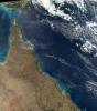between the Great Barrier Reef and the Queensland shore, cyanobacteria, NDBD01_001