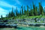 Tropical Pine Trees, Island, Coral Reef, Pacific Ocean, azure waters, NDCV01P12_05.1275