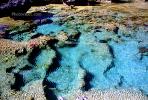 Coral Reef, Pacific Ocean, azure water ripples, Wavelets