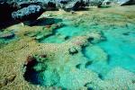 Coral Reef, Pacific Ocean, azure water ripples, Wavelets, NDCV01P12_13.1275