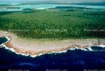 Coral, Island, Forest, Trees, Pacific Ocean, shore, shoreline, coast, NDCV01P15_18.2566