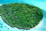 Coral, Lone Island, Forest, Trees, Pacific Ocean, shore, shoreline, coast, NDCV02P01_11.1275