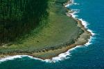 Coral, Island, Forest, Trees, Pacific Ocean, shore, shoreline, coast, NDCV02P01_18.1275