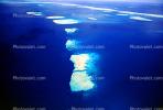 Barrier Reef, Coral, Island, Forest, Trees, Pacific Ocean, NDCV02P03_15