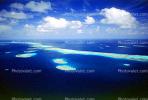Barrier Reef, Coral, Island, Forest, Trees, Pacific Ocean, NDCV02P04_01