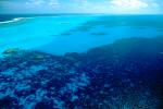 Barrier Reef, Coral, Pacific Ocean
