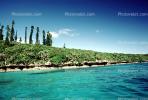 Tropical Pine Trees, Island, Coral Reef, Pacific Ocean, NDCV02P08_08