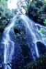 Waterfall, Ferns, Rainforest, Vegetation, Rotorua, NDNV01P13_11