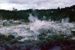 Geothermal Feature, Rotorua, NDNV02P15_06