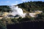 Geyser, Heat, Geothermal Feature, Rotorua