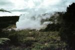 Geyser, Heat, Geothermal Feature, Rotorua, NDNV03P10_06