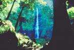 Waterfall, Rain Forest, Island of Tahiti, NDPV01P03_13