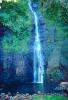 Waterfall, Rain Forest, Island of Tahiti, NDPV01P03_16