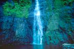 Waterfall, Rain Forest, Island of Tahiti, NDPV01P03_17