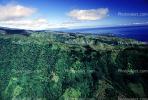 Island of Tahiti, Rain Forest, Mountains, NDPV01P06_03