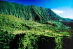 Mountains, Rain Forest, Island of Tahiti, NDPV01P06_09