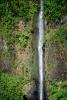 Island of Tahiti, Waterfall, Rain Forest, NDPV01P06_12