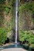 Island of Tahiti, Waterfall, Rain Forest, NDPV01P06_13