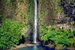 Island of Tahiti, Waterfall, Rain Forest, NDPV01P06_15