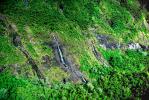 Mountains, Rain Forest, Island of Tahiti, NDPV01P06_18B