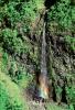 Island of Tahiti, Waterfall, Rain Forest, NDPV01P07_04