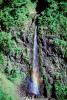Island of Tahiti, Waterfall, Rain Forest, NDPV01P07_05