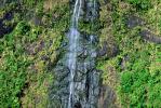Island of Tahiti, Waterfall, Rain Forest, NDPV01P07_07