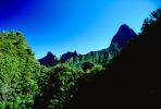 Mountains, Rain Forest, Island of Tahiti, NDPV01P07_16