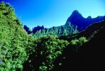 Mountains, Rain Forest, Island of Tahiti, NDPV01P07_17