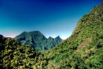 Mountains, Rain Forest, Island of Tahiti, NDPV01P08_01B