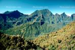 Mountains, Rain Forest, Island of Tahiti, NDPV01P08_02.2566