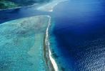 Island of Moorea, Coral Reef, NDPV01P09_13
