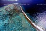 Island of Moorea, Coral Reef, NDPV01P09_14