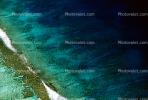 Coral Reef, Island of Moorea, NDPV01P12_15