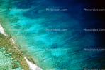 Coral Reef, Island of Moorea, NDPV01P12_16