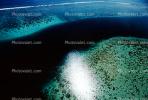 Coral Reef, Island of Moorea, NDPV01P13_02