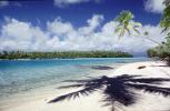 Beach, Palm Trees, shadow, Aitutaki, Cook Islands