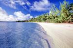 Trees, Beach, Cumulus Clouds, Pacific Ocean, Ripples, Tiny Wavelets, Aitutaki, Cook Islands, NDPV03P04_10