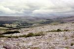 The Burren, NERV01P02_19