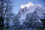 Mountain, Snow, Grindelwald, 1950s, NESV01P01_09