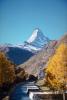 Zermatt, 1950s, NESV01P04_03.0925