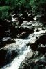 alpine river, whitewater, rapids, rocks, NFAV01P01_07