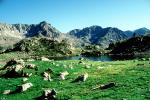 alpine lake, mountains, peaceful, meadow, boulders, rocks, water