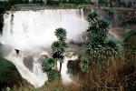 Blue Nile Falls, Waterfall, NJHV01P02_14