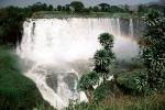 Blue Nile Falls, Waterfall, NJHV01P02_16