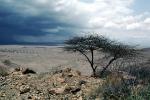 Lake Turkana, water