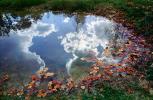 Clouds Reflecting in a Pond, Water, Reflection, Autumn