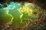 Clouds Reflecting in a Pond, Water, Reflection, Autumn, NLKV01P02_18.0624