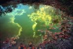 Clouds Reflecting in a Pond, Water, Reflection, Autumn, NLKV01P02_18.0926
